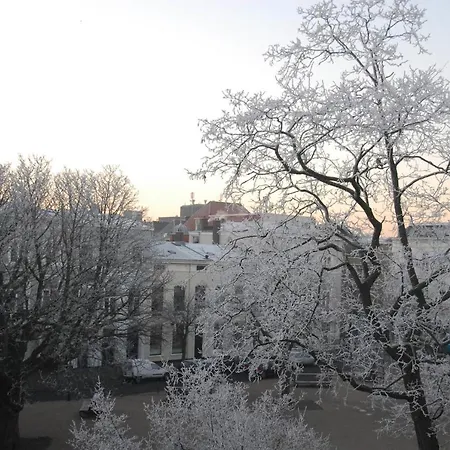 Treetop 아파트 헤이그