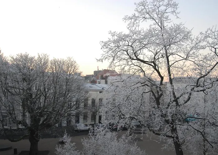 Treetop Appartement La Haye