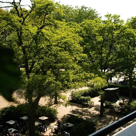 Treetop アパート *