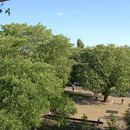 Treetop * The Hague